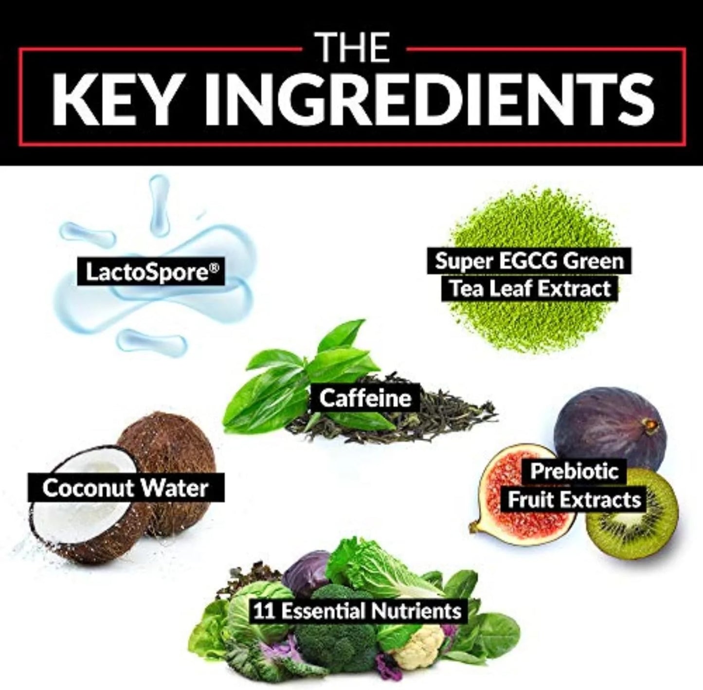 Probioslim Weight Loss Essentials Complete Daily Digestive Health and Weight Loss Probiotic Supplement for Women and Men with Electrolytes and Green Tea Extract, 120 Capsules